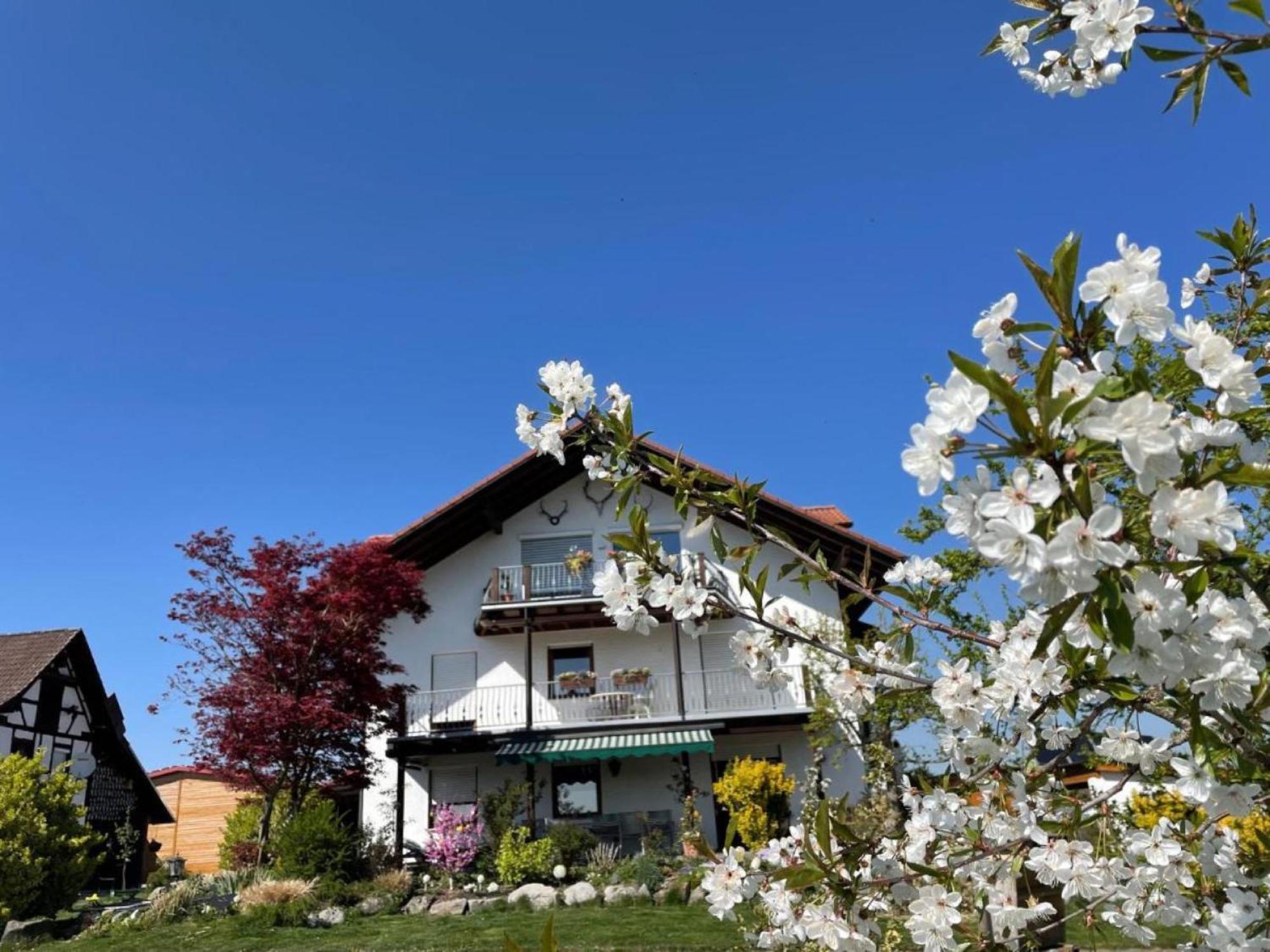 Bergchalet Mirabell - Hofgut FDH 외부 사진