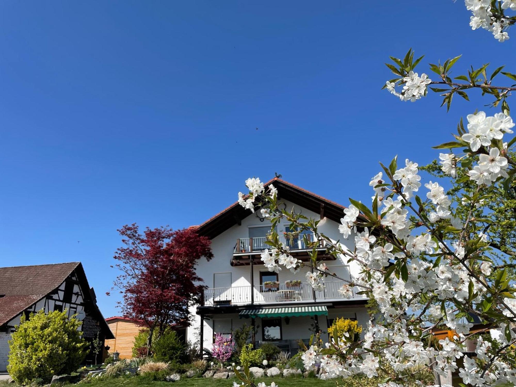 Bergchalet Mirabell - Hofgut FDH 외부 사진