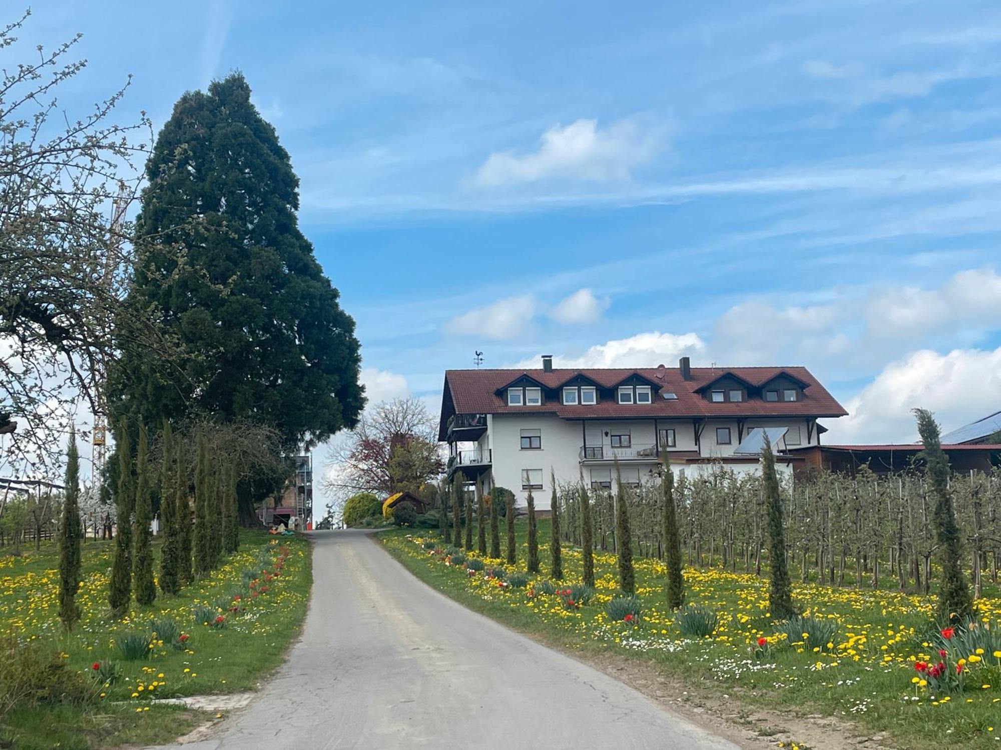 Bergchalet Mirabell - Hofgut FDH 외부 사진